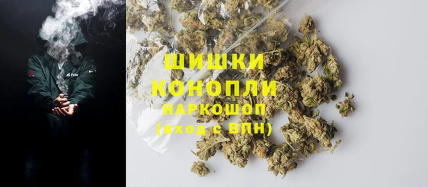 шишки Белокуриха
