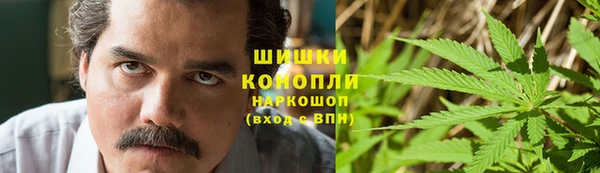 шишки Белокуриха