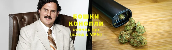 шишки Белокуриха