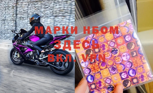 шишки Белокуриха
