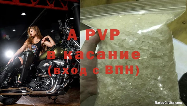 шишки Белокуриха