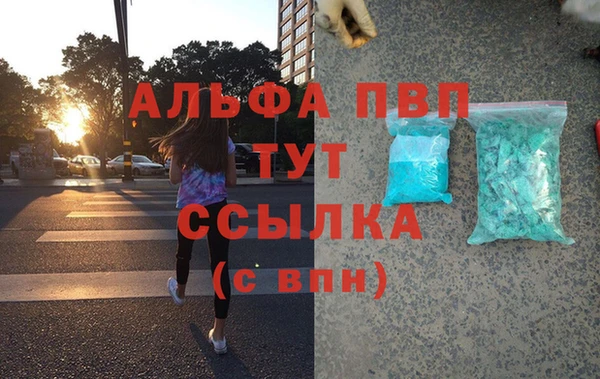 шишки Белокуриха