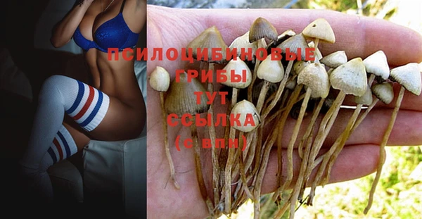 ГАЛЛЮЦИНОГЕННЫЕ ГРИБЫ Белоозёрский