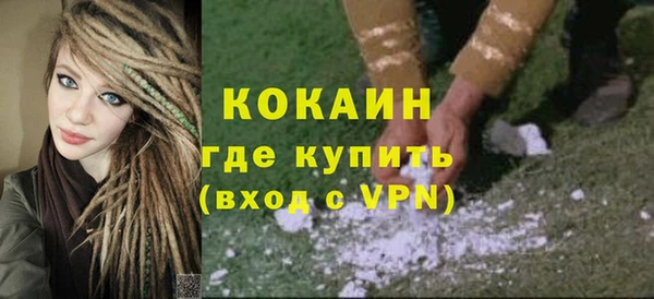 шишки Белокуриха