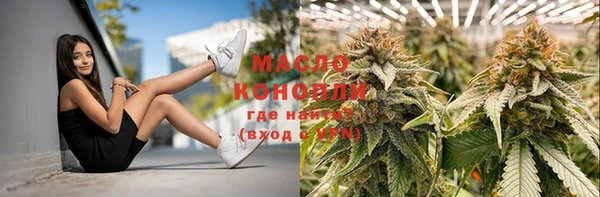 твердый Богородицк