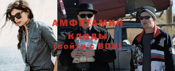шишки Белокуриха